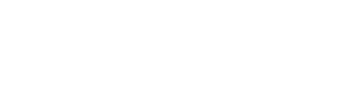 logo simplex